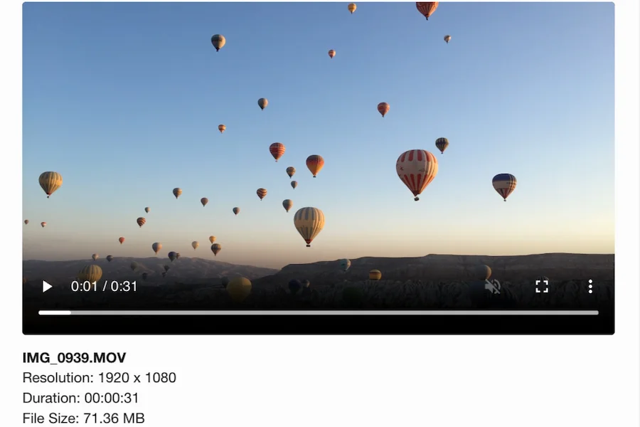 Video kare galerisi önizlemesi